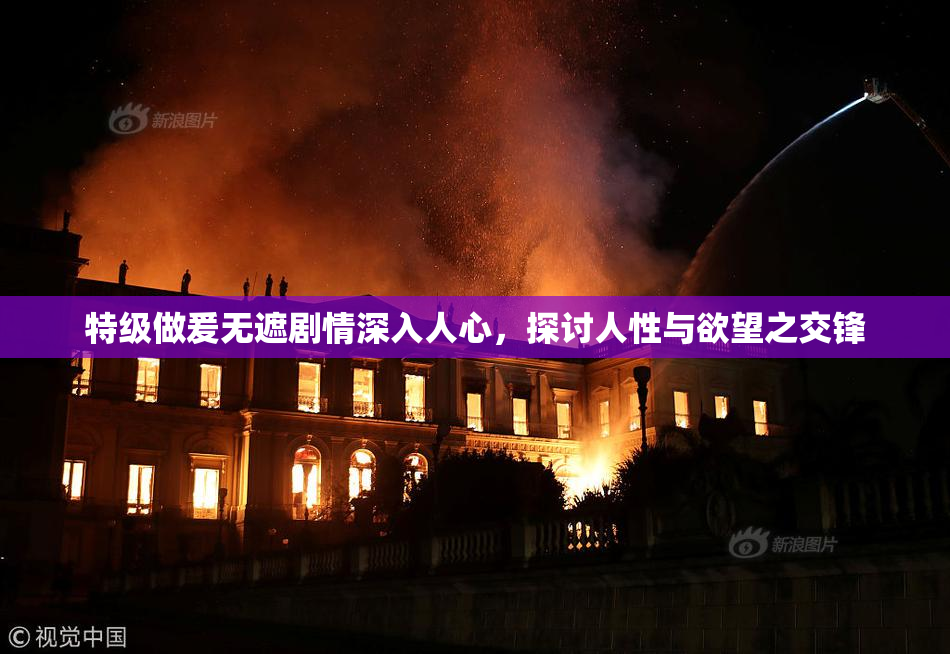 特级做爰无遮剧情深入人心，探讨人性与欲望之交锋