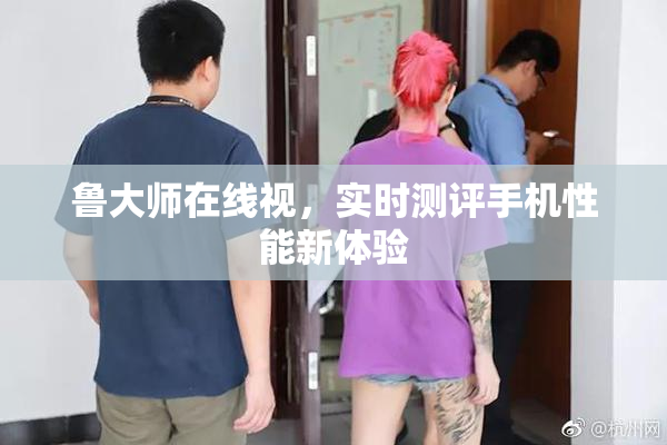 鲁大师在线视，实时测评手机性能新体验