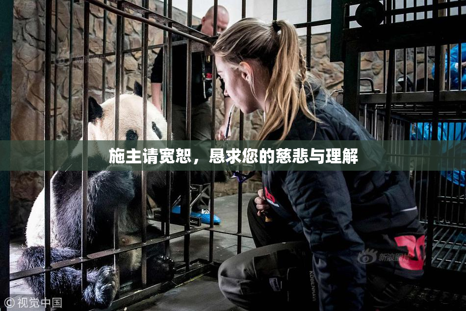 施主请宽恕，恳求您的慈悲与理解