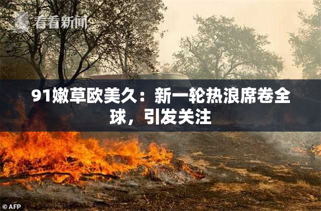 91嫩草欧美久：新一轮热浪席卷全球，引发关注