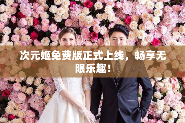 次元姬免费版正式上线，畅享无限乐趣！
