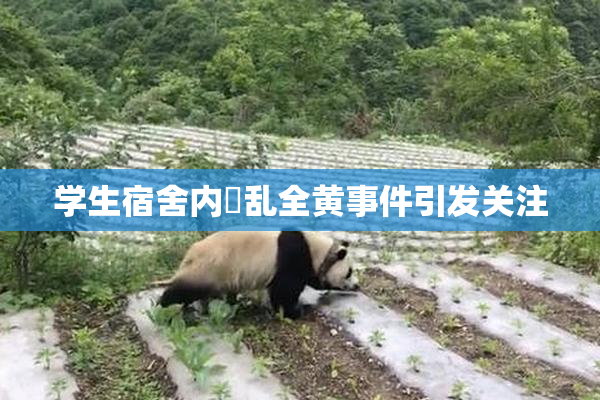 学生宿舍内婬乱全黄事件引发关注