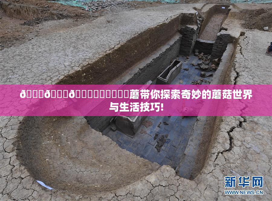 🍆🍑🔞❌‌❌‌❌‌蘑带你探索奇妙的蘑菇世界与生活技巧!