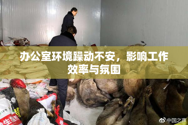 办公室环境躁动不安，影响工作效率与氛围