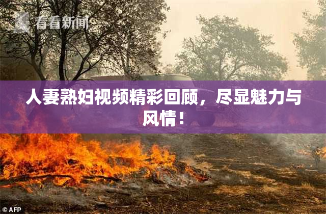 人妻熟妇视频精彩回顾，尽显魅力与风情！