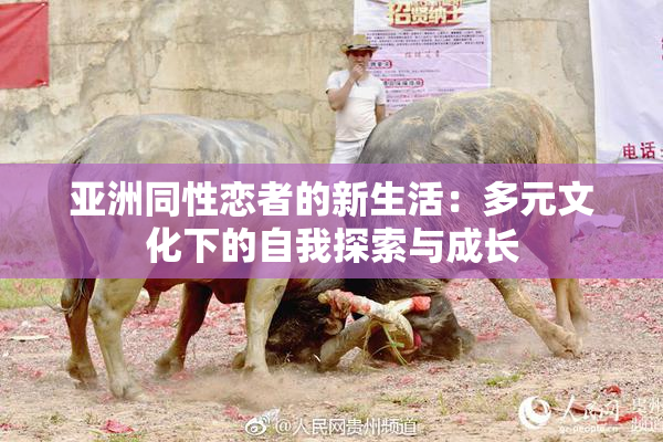 亚洲同性恋者的新生活：多元文化下的自我探索与成长