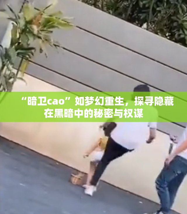 “暗卫cao”如梦幻重生，探寻隐藏在黑暗中的秘密与权谋