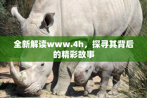 全新解读www.4h，探寻其背后的精彩故事