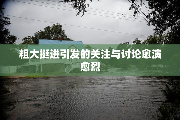 粗大挺进引发的关注与讨论愈演愈烈