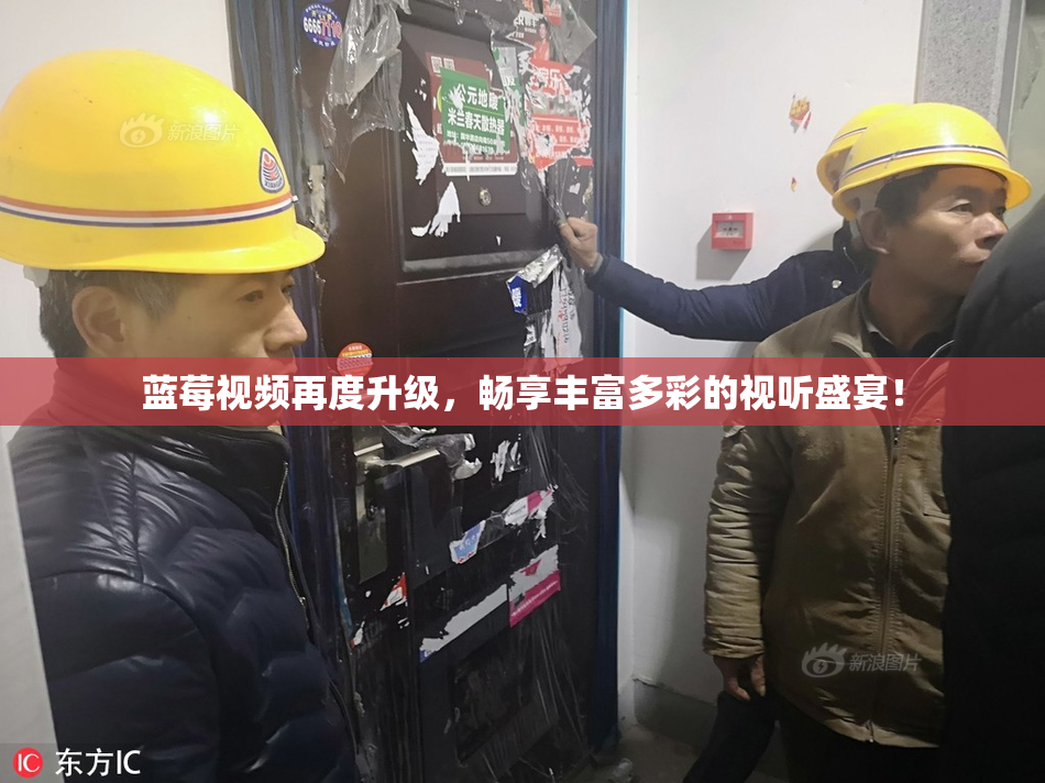 蓝莓视频再度升级，畅享丰富多彩的视听盛宴！