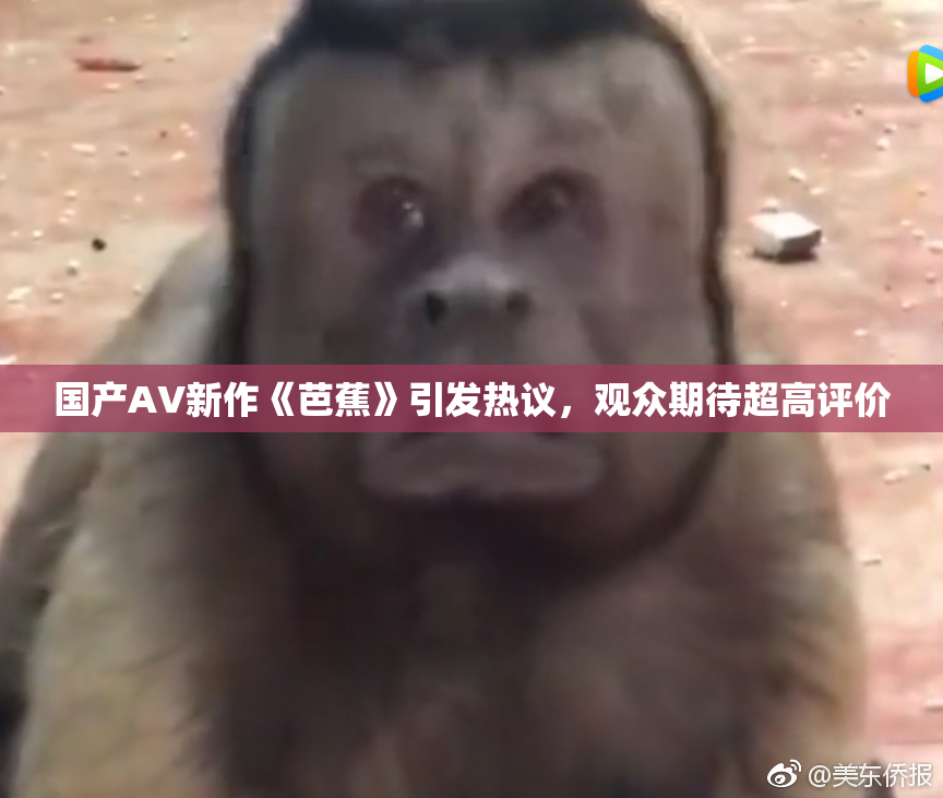 国产AV新作《芭蕉》引发热议，观众期待超高评价