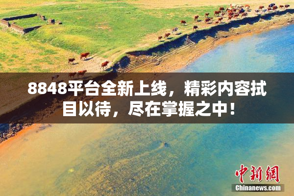 8848平台全新上线，精彩内容拭目以待，尽在掌握之中！