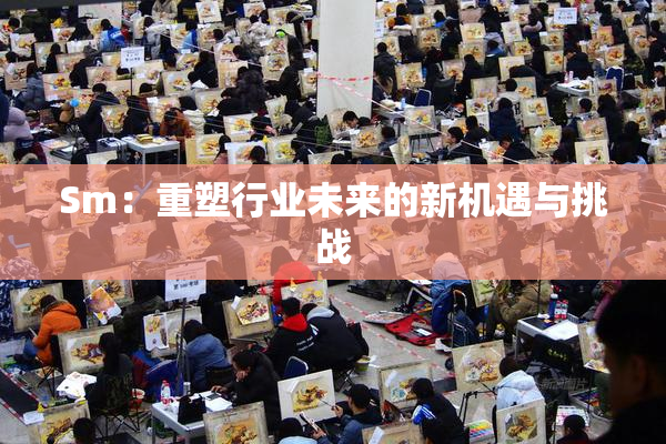 Sm：重塑行业未来的新机遇与挑战