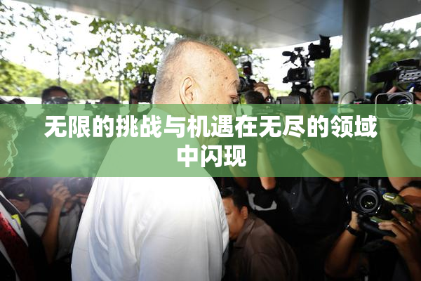 无限的挑战与机遇在无尽的领域中闪现