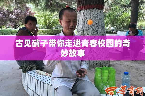 古见硝子带你走进青春校园的奇妙故事