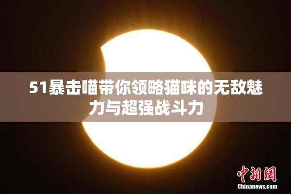 51暴击喵带你领略猫咪的无敌魅力与超强战斗力