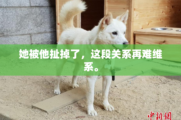 她被他扯掉了，这段关系再难维系。
