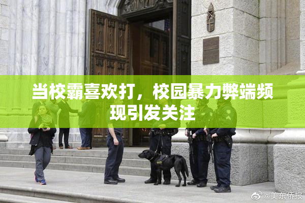 当校霸喜欢打，校园暴力弊端频现引发关注