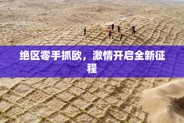 绝区零手抓欧，激情开启全新征程