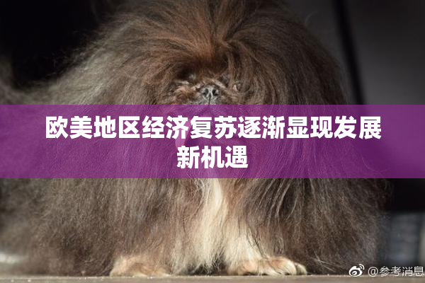 欧美地区经济复苏逐渐显现发展新机遇