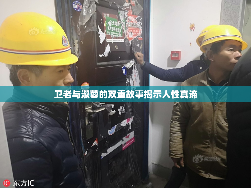 卫老与淑蓉的双重故事揭示人性真谛