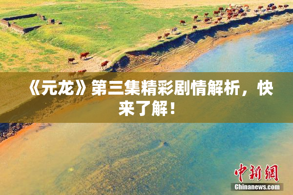 《元龙》第三集精彩剧情解析，快来了解！