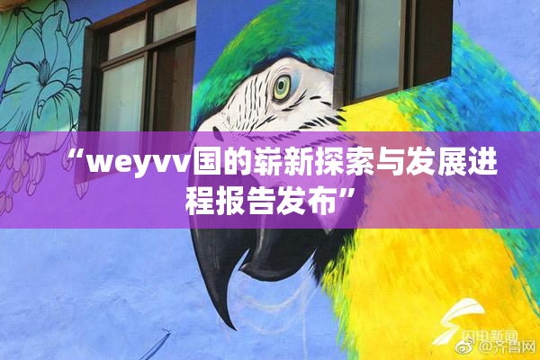 “weyvv国的崭新探索与发展进程报告发布”