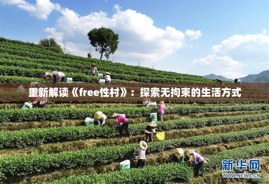 重新解读《free性村》：探索无拘束的生活方式