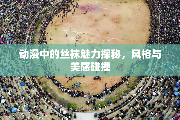 动漫中的丝袜魅力探秘，风格与美感碰撞