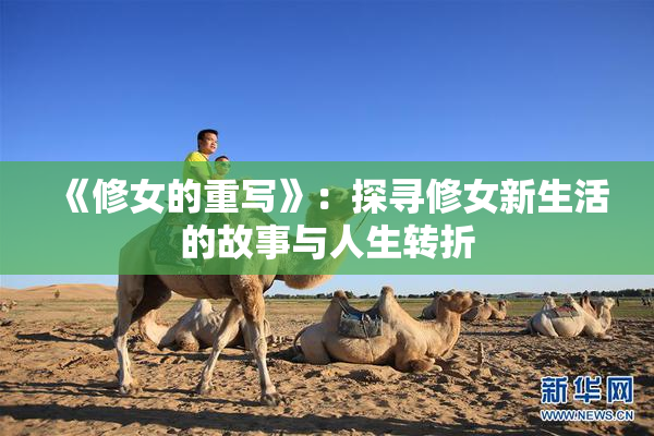 《修女的重写》：探寻修女新生活的故事与人生转折