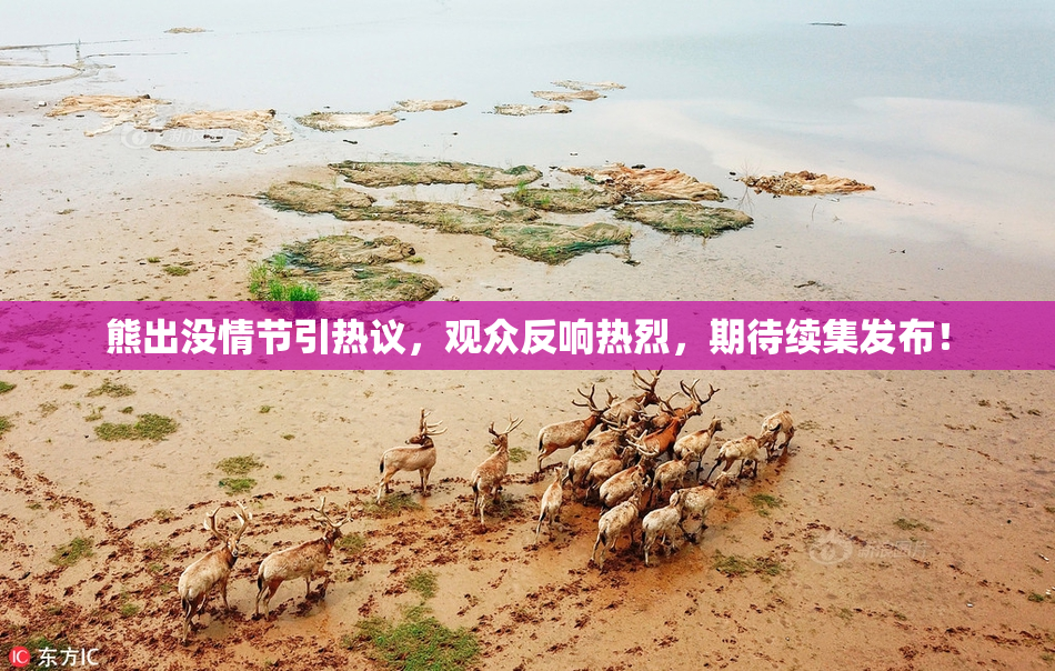 熊出没情节引热议，观众反响热烈，期待续集发布！