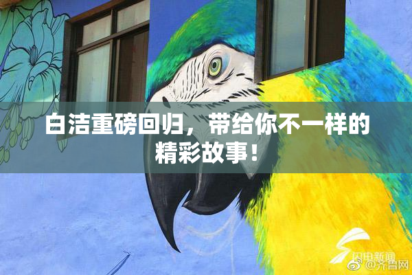 白洁重磅回归，带给你不一样的精彩故事！