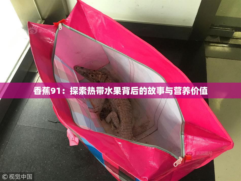 香蕉91：探索热带水果背后的故事与营养价值