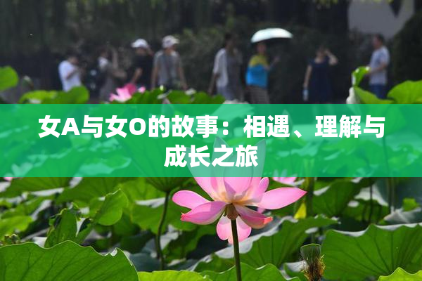 女A与女O的故事：相遇、理解与成长之旅
