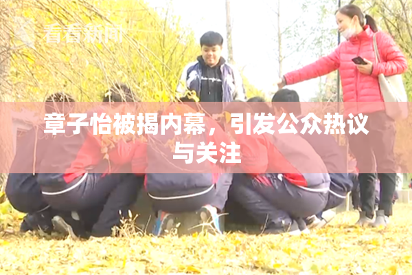 章子怡被揭内幕，引发公众热议与关注