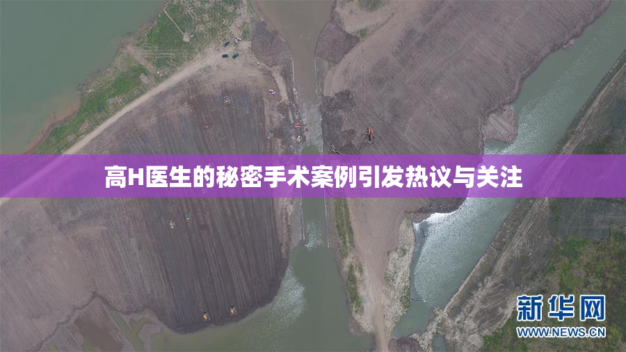 高H医生的秘密手术案例引发热议与关注
