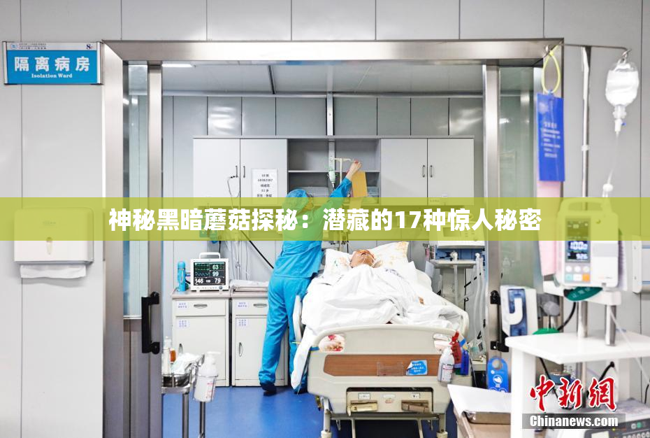 神秘黑暗蘑菇探秘：潜藏的17种惊人秘密