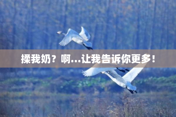 揉我奶？啊…让我告诉你更多！