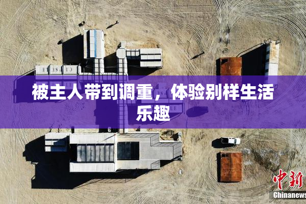 被主人带到调重，体验别样生活乐趣