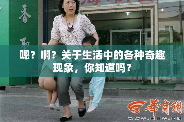 嗯？啊？关于生活中的各种奇趣现象，你知道吗？