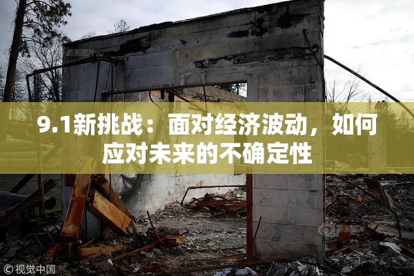 9.1新挑战：面对经济波动，如何应对未来的不确定性