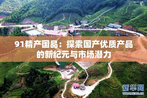 91精产国品：探索国产优质产品的新纪元与市场潜力