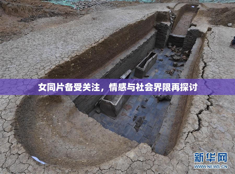 女同片备受关注，情感与社会界限再探讨
