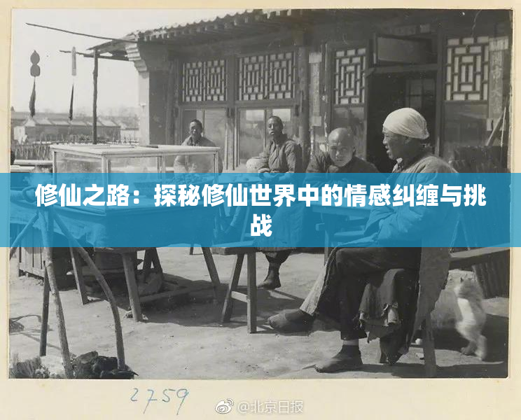 修仙之路：探秘修仙世界中的情感纠缠与挑战