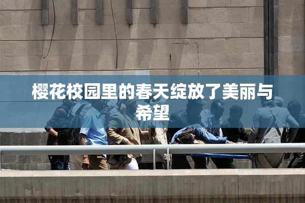 樱花校园里的春天绽放了美丽与希望