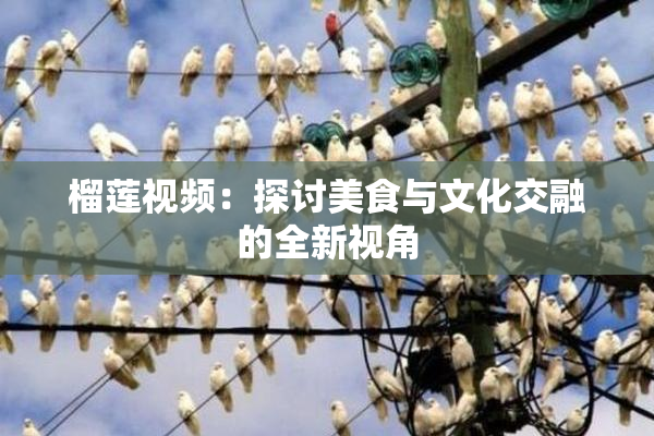 榴莲视频：探讨美食与文化交融的全新视角
