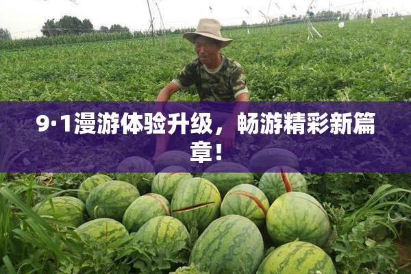 9·1漫游体验升级，畅游精彩新篇章！