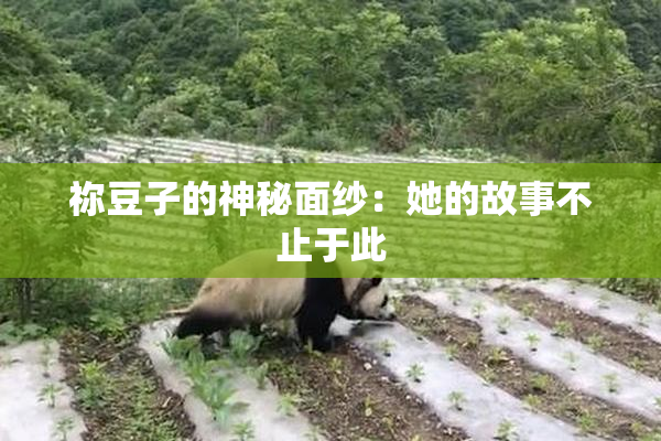 祢豆子的神秘面纱：她的故事不止于此