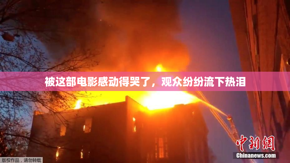 被这部电影感动得哭了，观众纷纷流下热泪