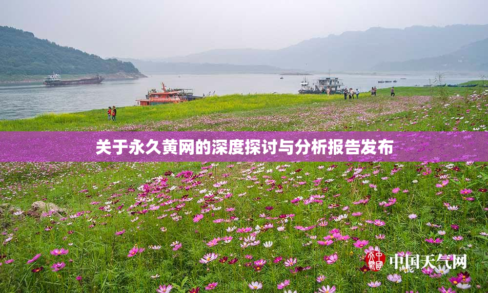 关于永久黄网的深度探讨与分析报告发布